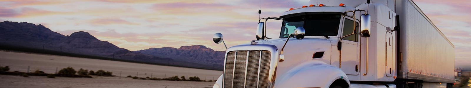 International Visa Services